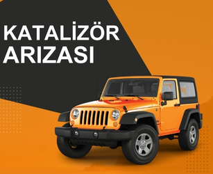 KATALIZOR ARIZASI